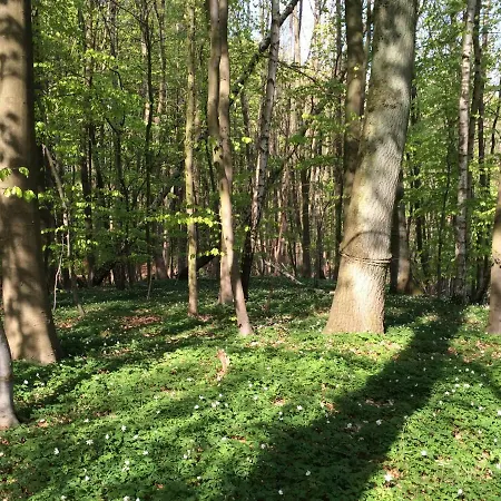 Alte Büdnerei * Bastorf