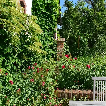 Alte Büdnerei Bastorf